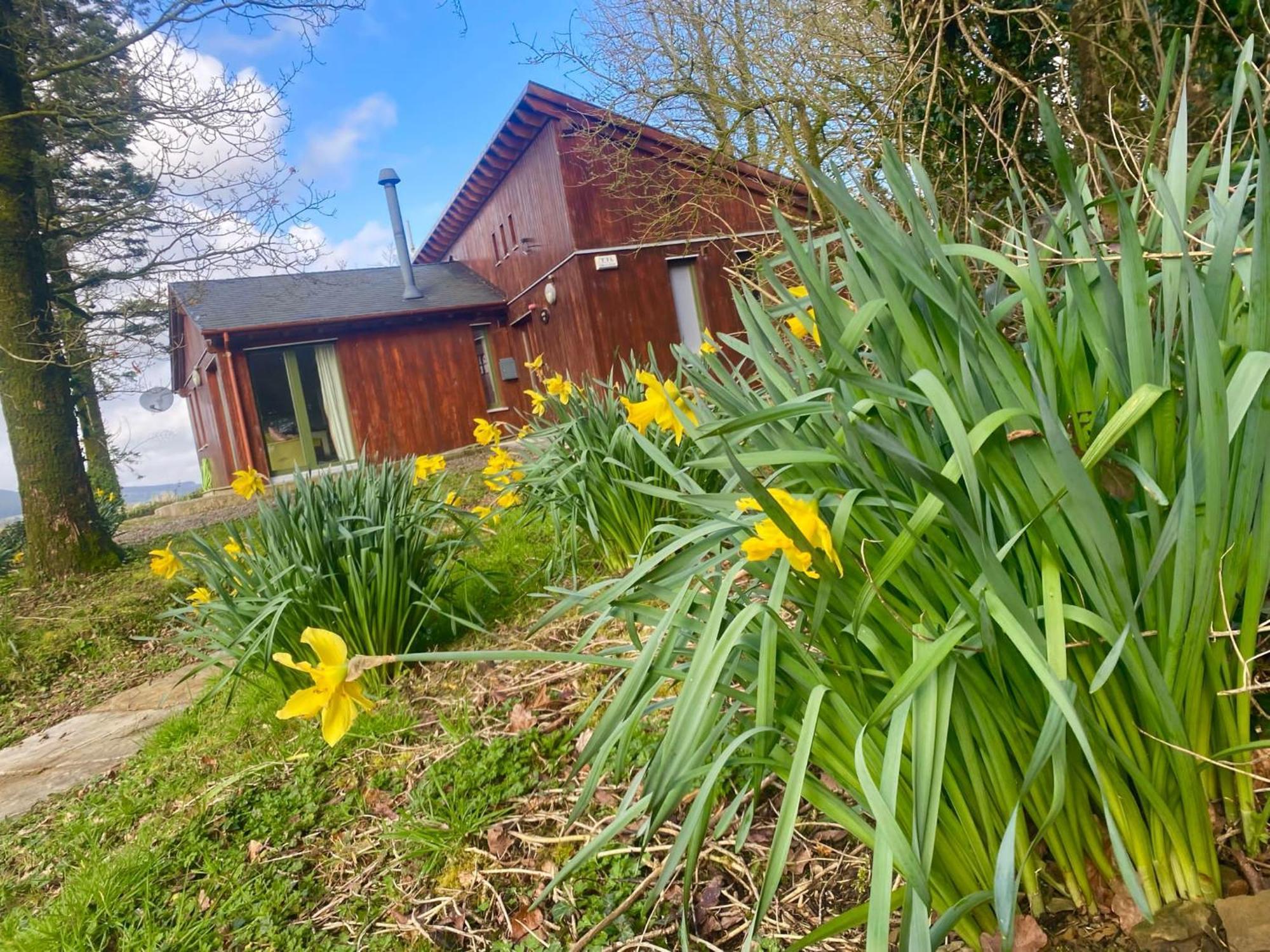 Ballyhoura Mountain Lodges Ballyorgan Exteriör bild
