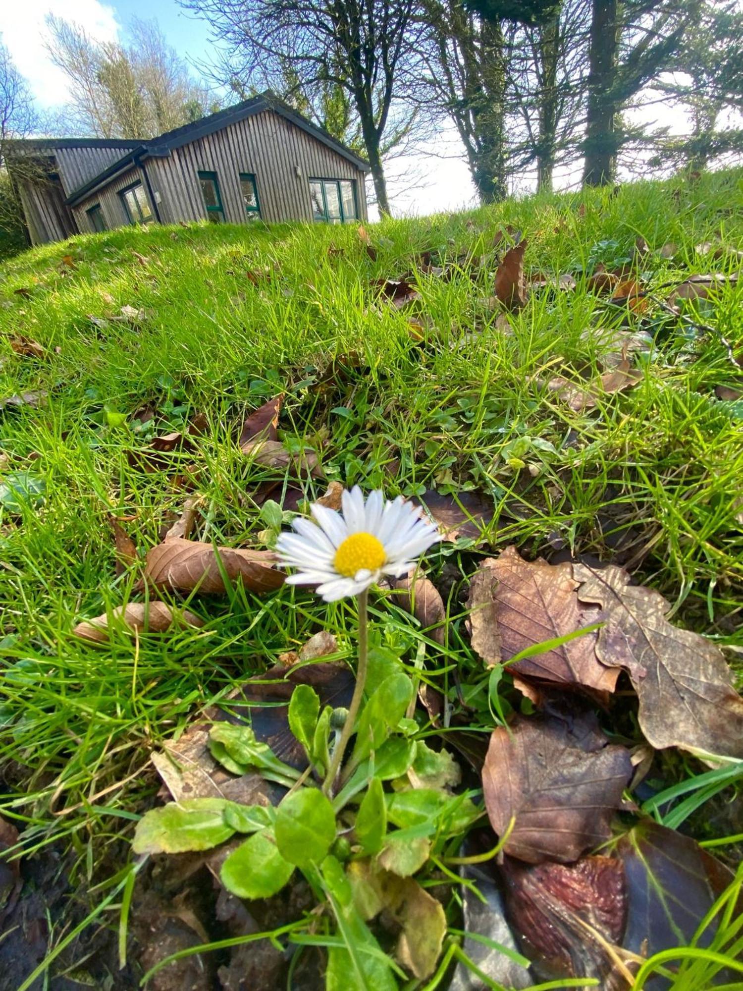 Ballyhoura Mountain Lodges Ballyorgan Exteriör bild
