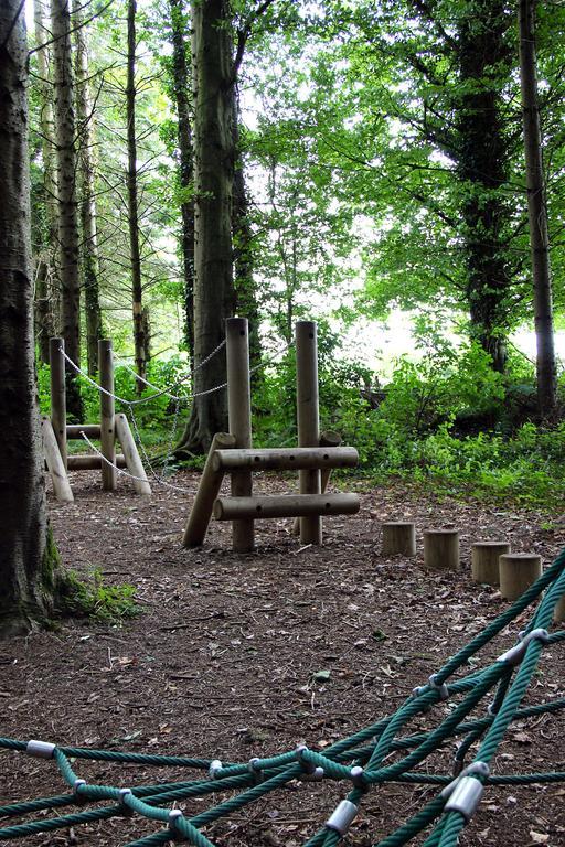Ballyhoura Mountain Lodges Ballyorgan Rum bild