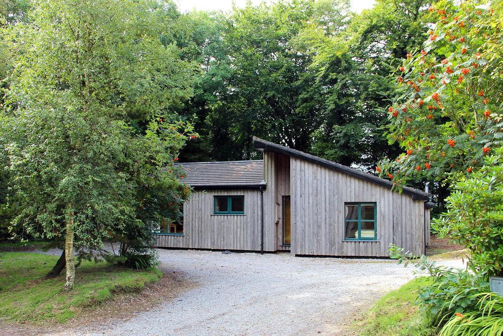 Ballyhoura Mountain Lodges Ballyorgan Rum bild