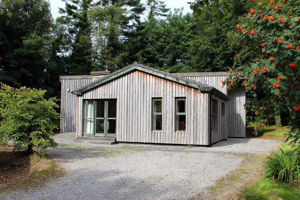 Ballyhoura Mountain Lodges Ballyorgan Rum bild